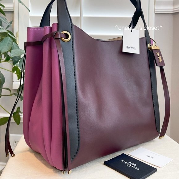 🔥NeW! Coach Harmony Colorblock Hobo - Picture 5 of 16